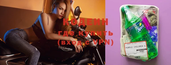 крисы Баксан
