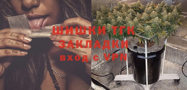 крисы Снежногорск