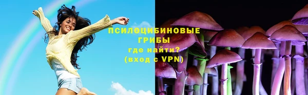 крисы Баксан
