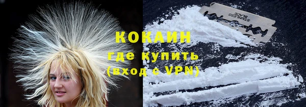 крисы Баксан