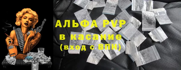 крисы Баксан