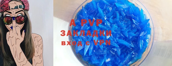 крисы Баксан